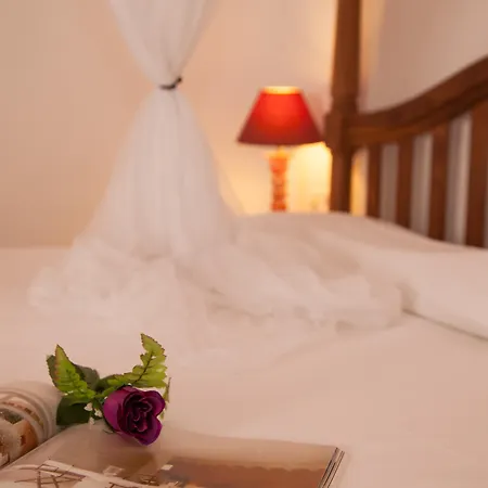 Country house Boutique Sa Galera Cas Concos